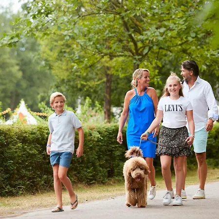 Forest 6 Persons #441 Holiday home *